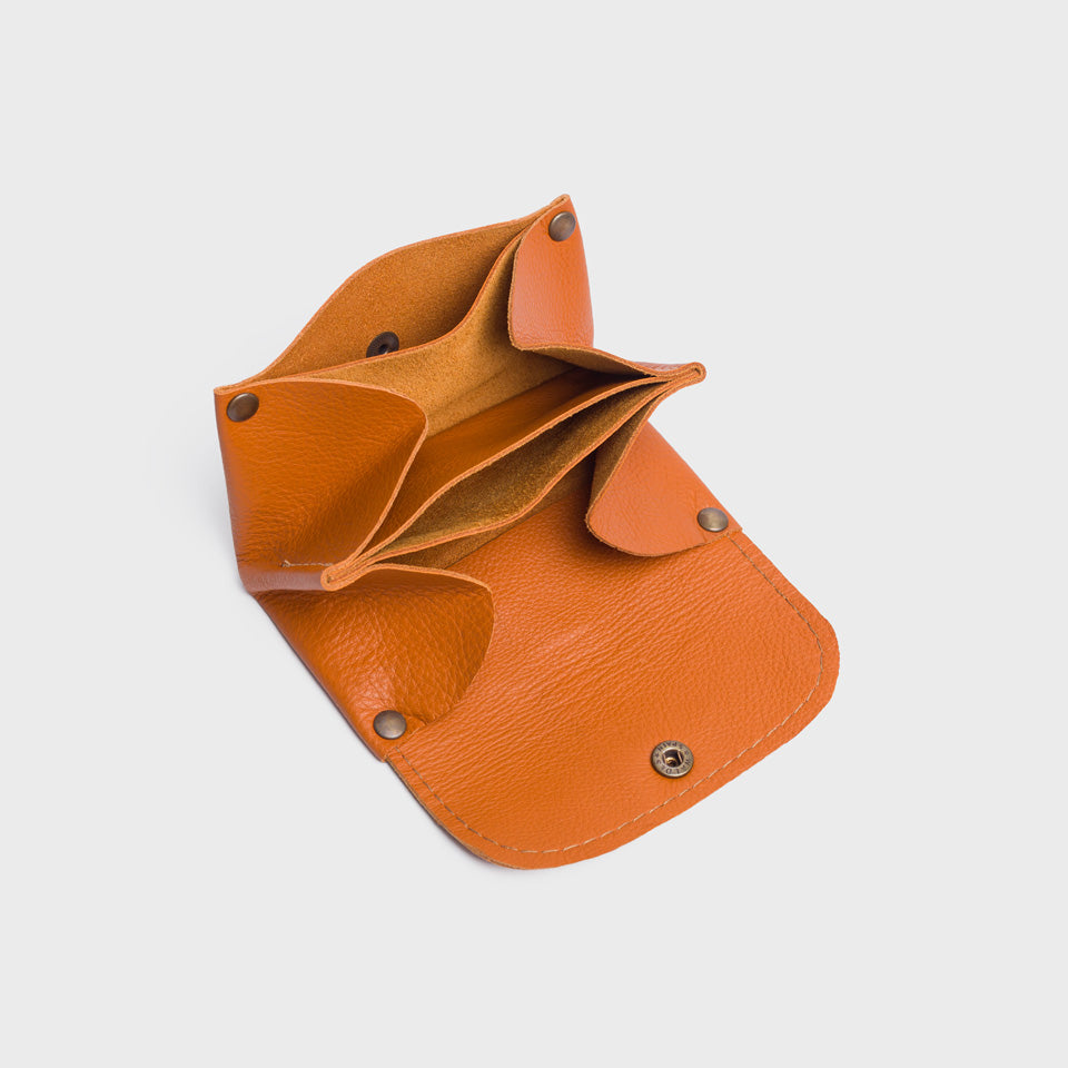 PAT  |  Cartera  (N)