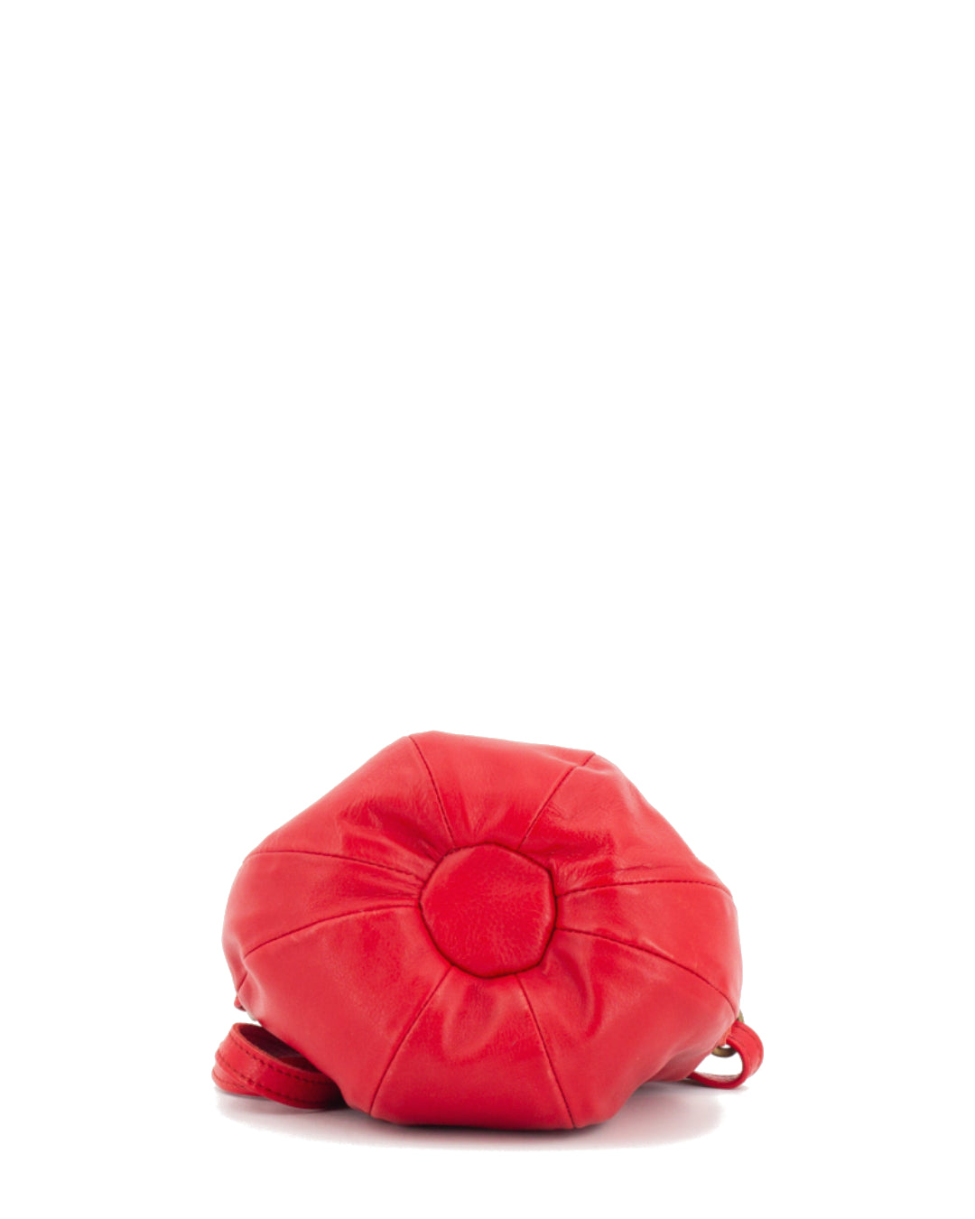 DALIA  |  Bag / Crossbody (AC)