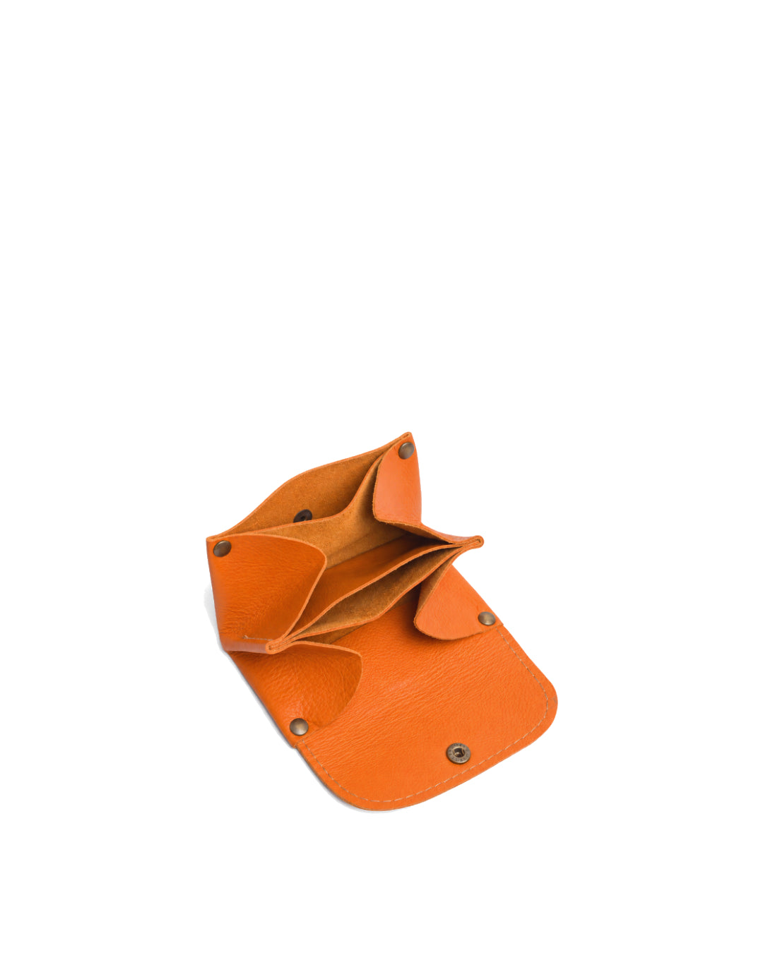 PAT  |  Cartera  (N)
